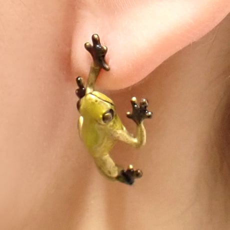 フキヤガエルピアス