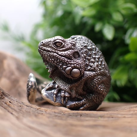 イグアナ | STORES