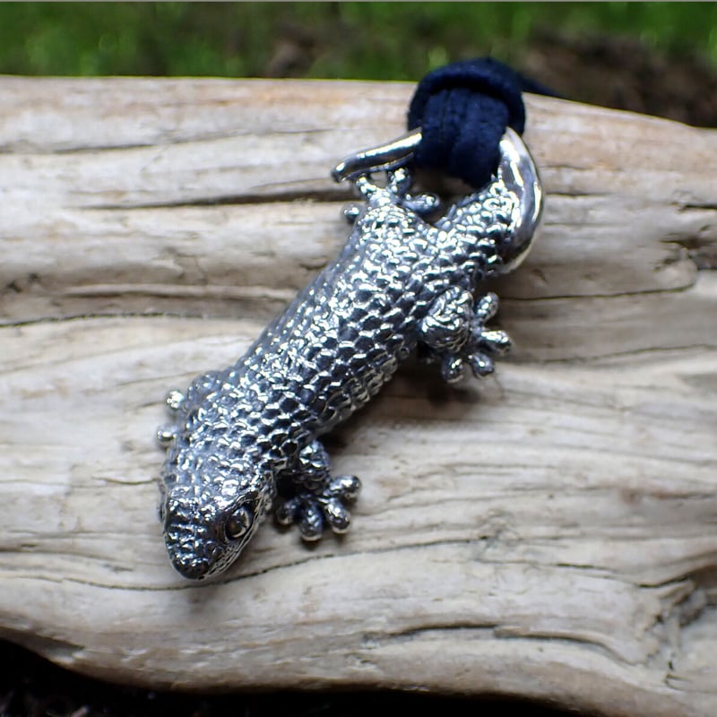 ヤモリ G02780-G02830】アサギマルメヤモリ ￥sold out(税込)- | yaneurat