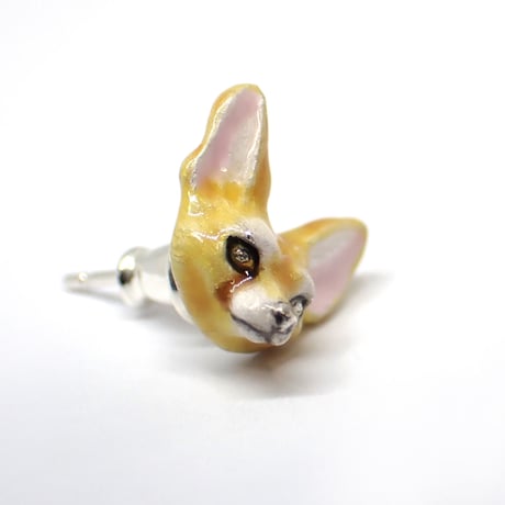 見つめるフェネックピアス(color)