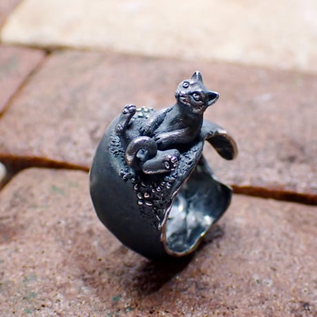 お花畑で寝転ぶネコリング（black）