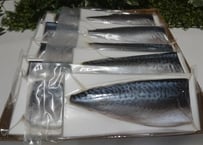 ﾚｱしめ鯖5枚セット