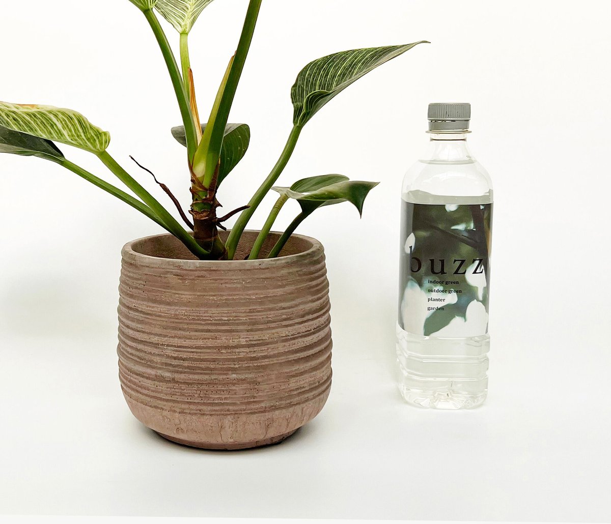 CERA POT 4点セット 26㎝ 楽天市場】【5個SET】セラアート 平鉢 18cm×9cm プラ鉢