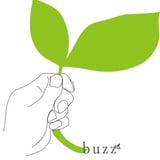 buzz online store