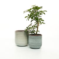 sera pot / white blue Sサイズ