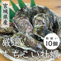 夏限定　厳選ちちこい牡蠣［１０個］産地直送
