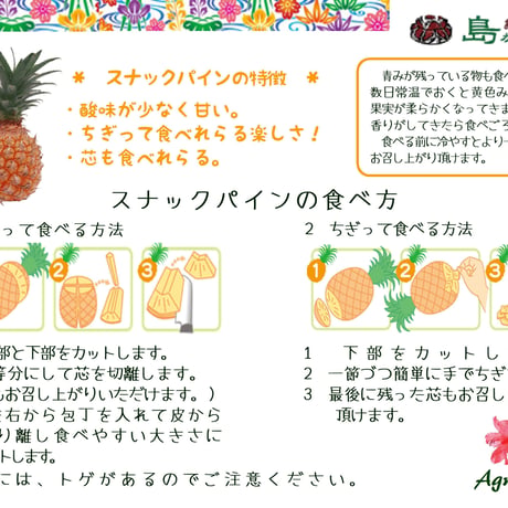 石垣島直送：ボゴールパイン【2kg】
