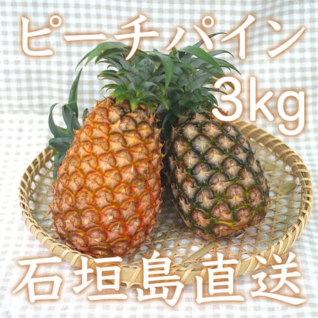 石垣島直送：ピーチパイン【お得な3kg！】