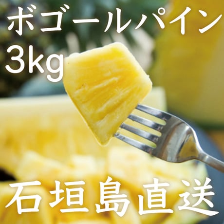 石垣島直送：ボゴールパイン【お得な3kg！】