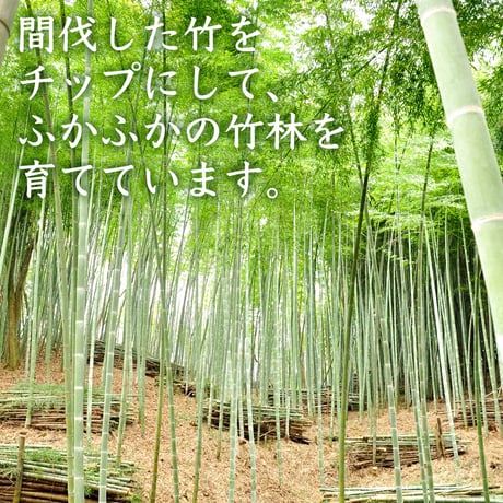 宮城県北・大崎市・よっちゃん農場のたけのこ水煮【300g x 2本】