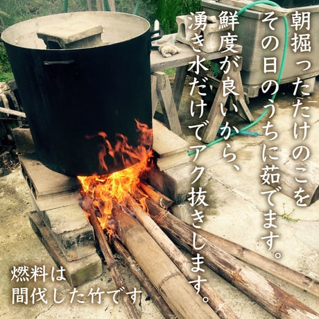 宮城県北・大崎市・よっちゃん農場のたけのこ水煮【300g x 2本】