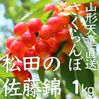 山形天童・松田の佐藤錦【1kgばらパック詰】