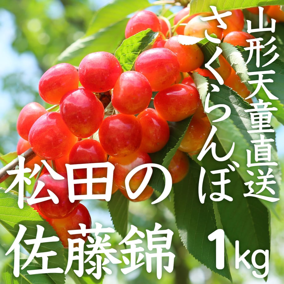 5eba44ec34ef01731235e4ad