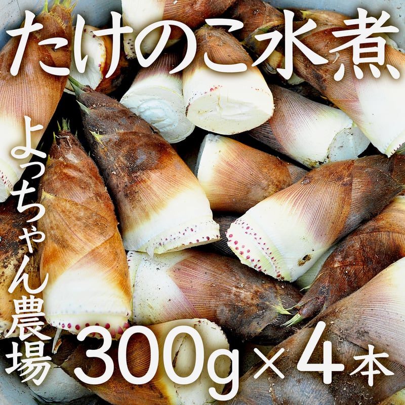 宮城県北・大崎市・よっちゃん農場のたけのこ水煮【300g x 4本