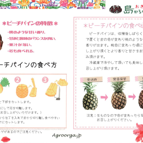 石垣島直送：ピーチパイン【お得な3kg！】
