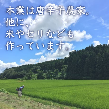 宮城県北・大崎市・よっちゃん農場のたけのこ水煮【300g x 2本】