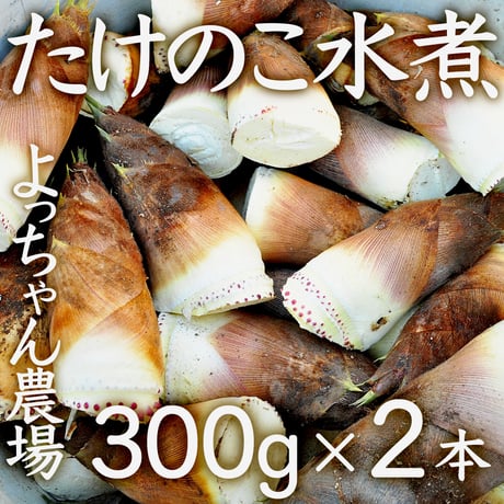 宮城県北・大崎市・よっちゃん農場のたけのこ水煮【300g x 2本】