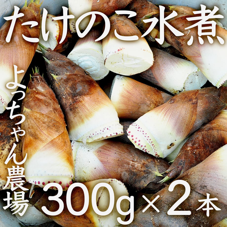 5ebf485655fa035c9171335a