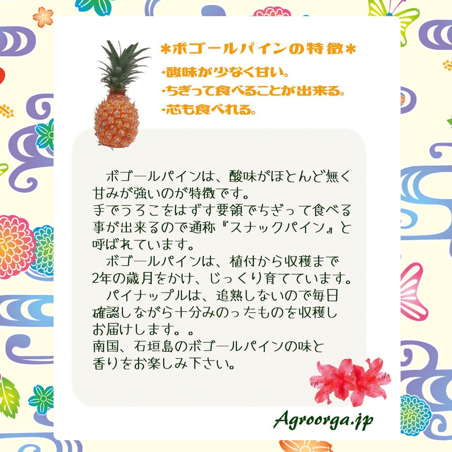 5eba4f1872b91171b1f8dc13