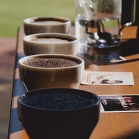 Little Darling Coffee Roasters 【Coffee Subscription Service Standard】