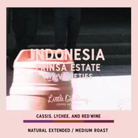 INDONESIA FRINSA ESTATE NATURAL EXTENDED 100g