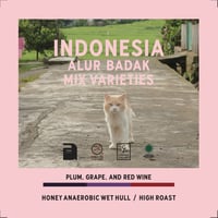 INDONESIA ALUR BADAK MIX VARIETIES HONEY ANAEROBIC WET HULL 200g