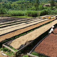 Little Darling Coffee Roasters 【Coffee Subscription Service Standard】