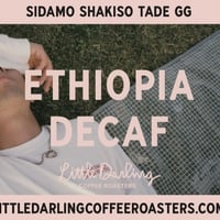 DRIP BAG (6Bag)ETHIOPIA DECAF