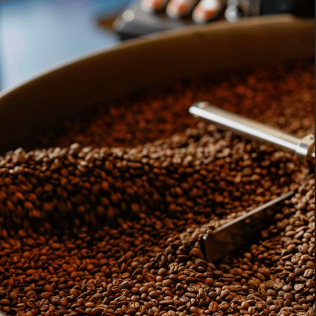 Little Darling Coffee Roasters 【Coffee Subscription Service Standard】
