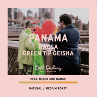 PANAMA HACSA GREEN TIP GEISHA 50g