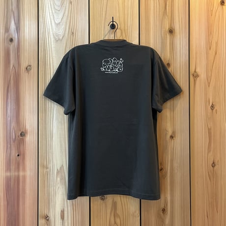 throw-up LT/adult