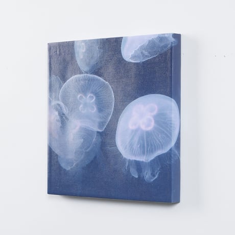 アートパネル　高橋篤慶「Jellyfish」