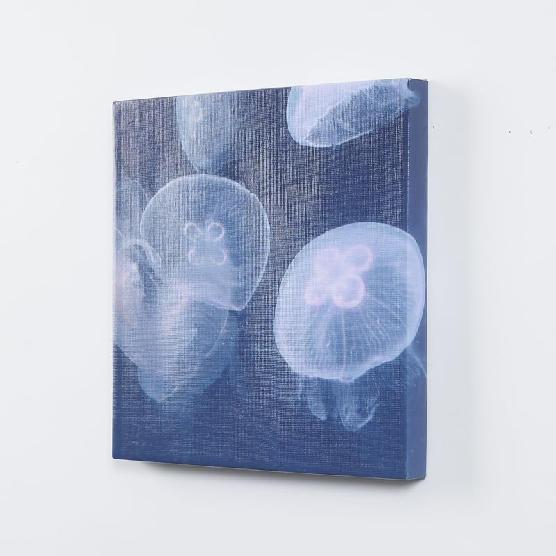 アートパネル 高橋篤慶「Jellyfish」 | pcoma アートパネル 高橋篤慶「Jellyfish」 | pcoma