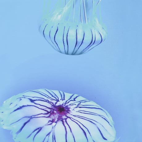 アートパネル　高橋篤慶「Jellyfish」