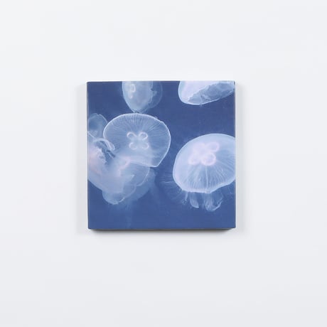 アートパネル　高橋篤慶「Jellyfish」