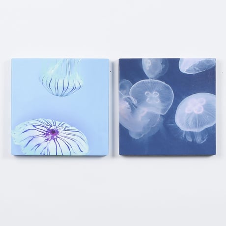 アートパネル　高橋篤慶「Jellyfish」