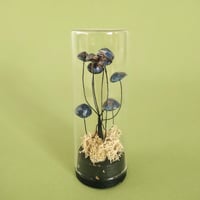 PilliPilli オブジェ