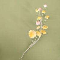 PilliPilli オブジェ