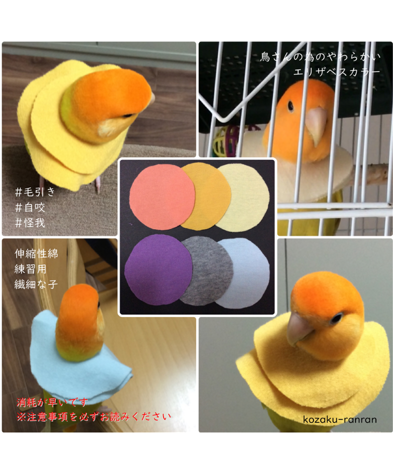 トリザベスカラー】柔らかい 10枚入 | コザクランラン 3/7～8鳥フェス仙台