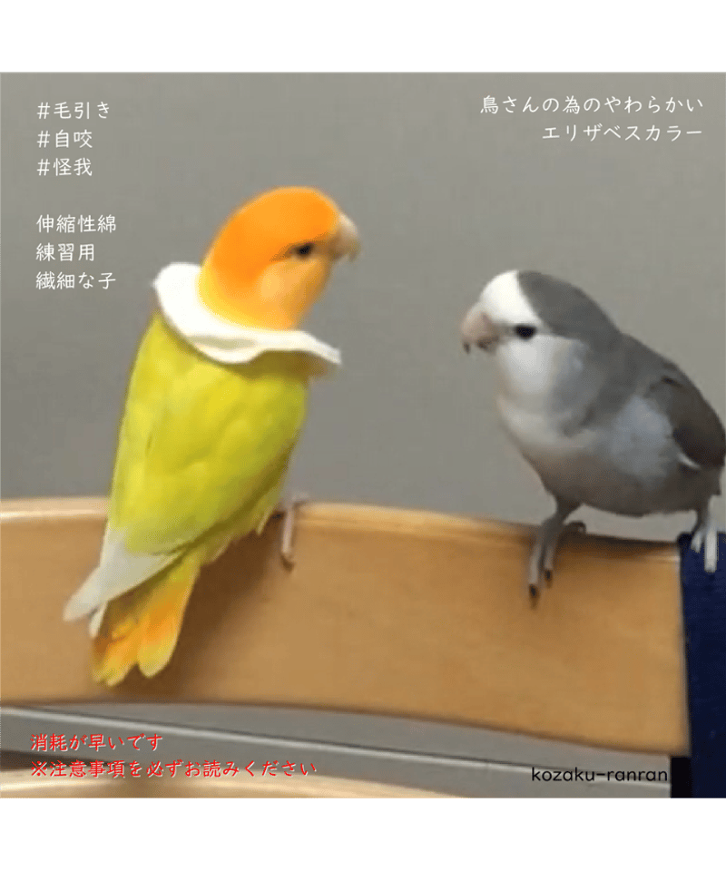 トリザベスカラー】柔らかい 10枚入 | コザクランラン 12/20～21鳥