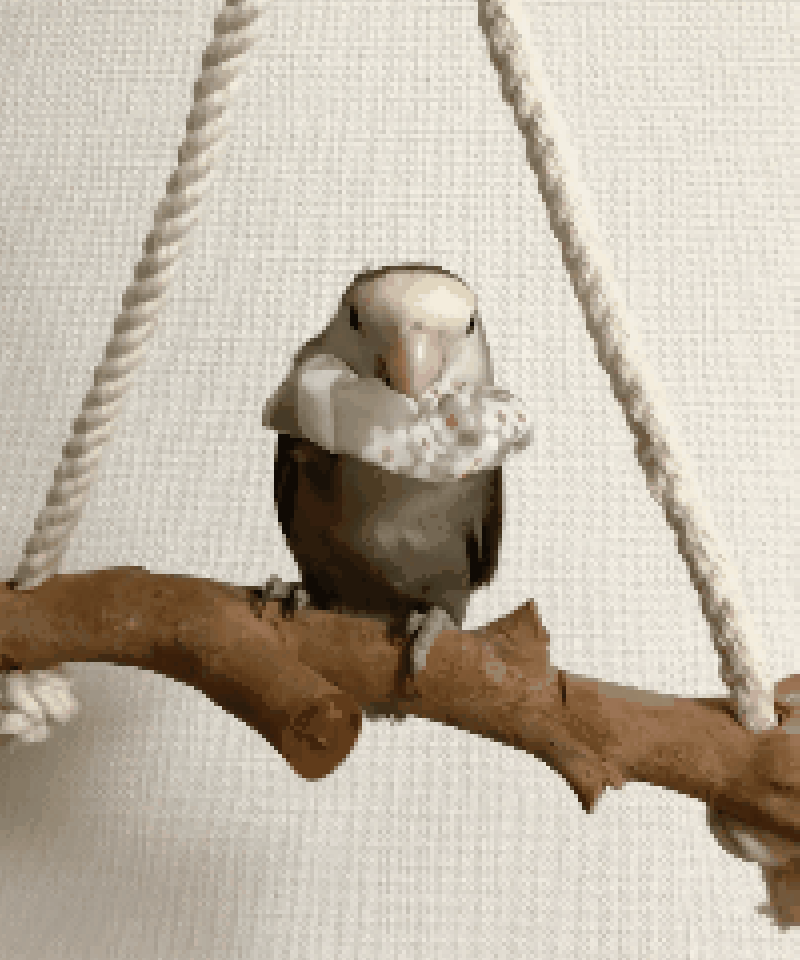 トリザベスカラー】ベーシック プチ 2個入 | コザクランラン 1/17～鳥