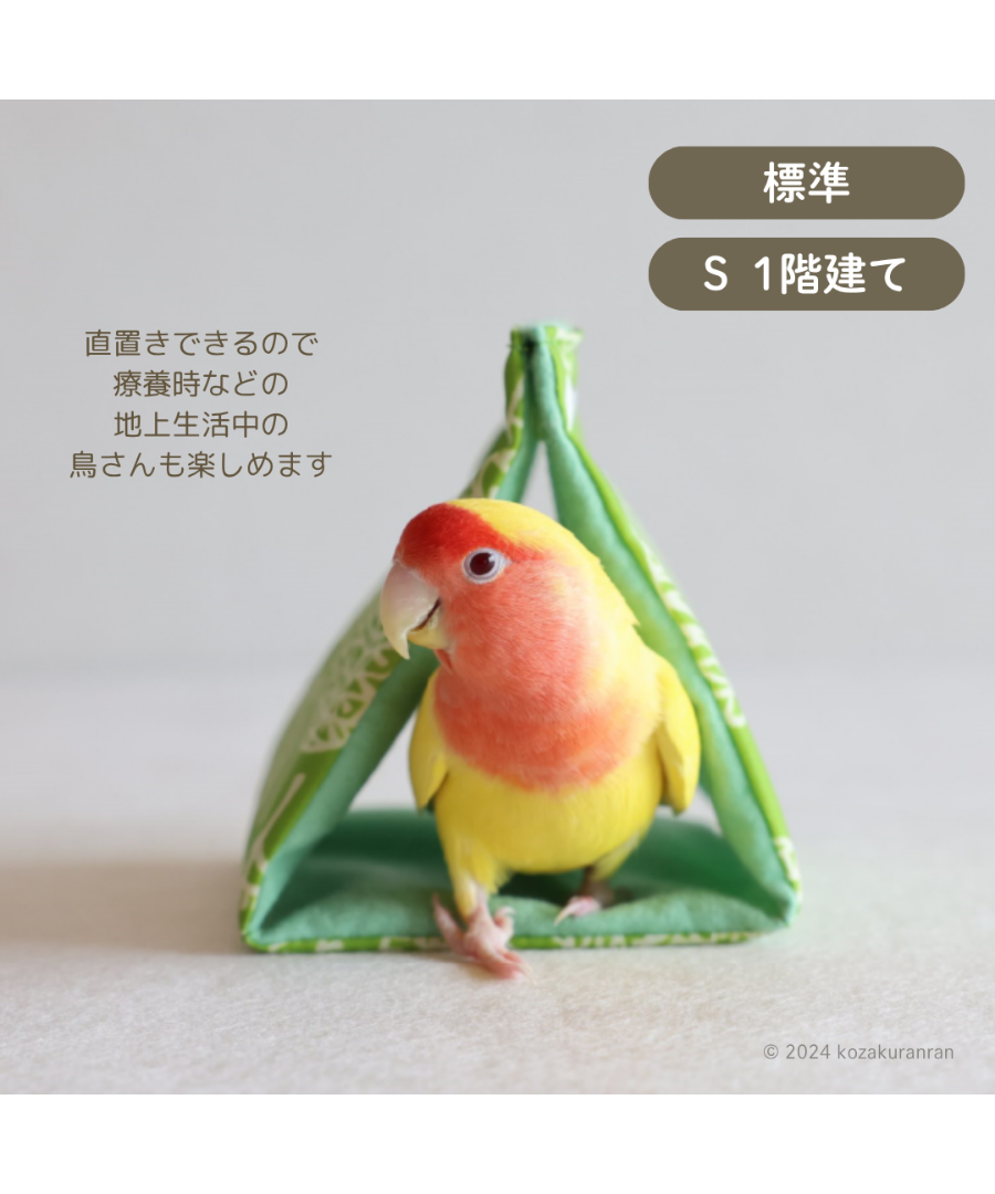 バードテント️】2階建て Sサイズ | コザクランラン