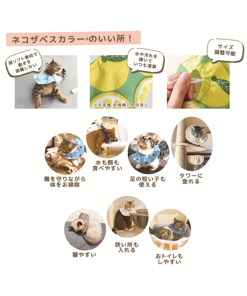 ネコザベスカラー】Mサイズ 標準 | コザクランラン 1/17～鳥フェス松山