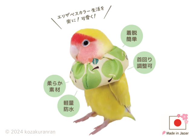 コザクランラン 1/17～鳥フェス松山