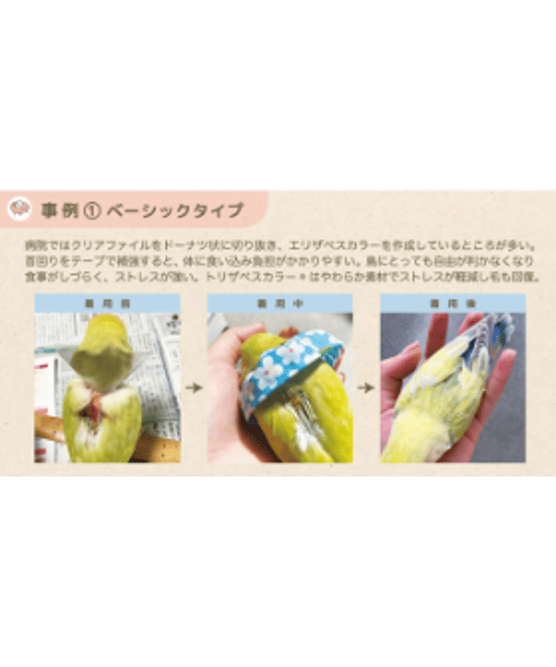 トリザベスカラー】ベーシック Sサイズ | コザクランラン 11/15