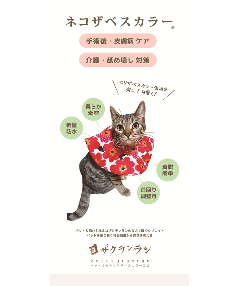 ネコザベスカラー】Mサイズ 標準 | コザクランラン 12/20～21鳥フェス千葉