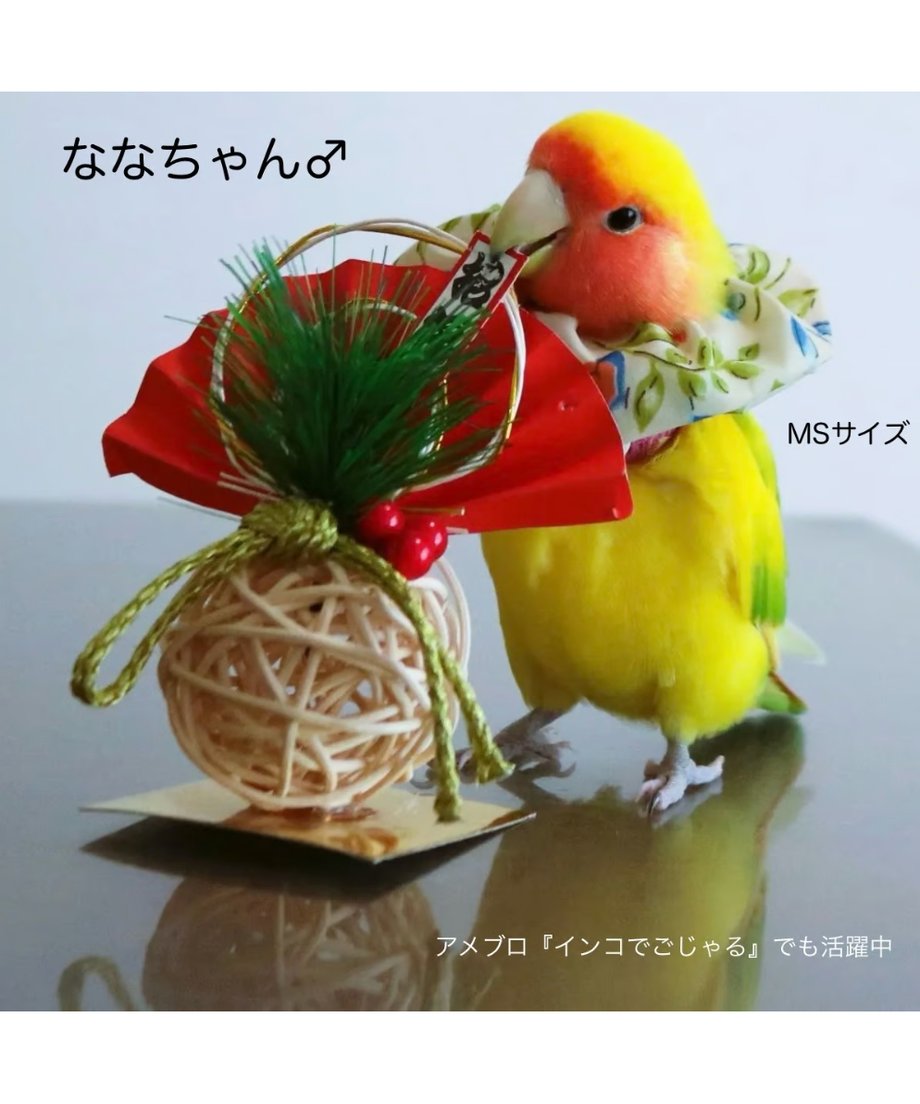 612cd67584ca636ec9f44d83