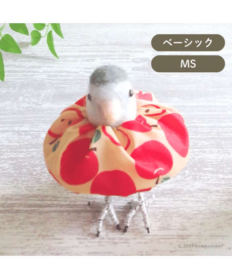 CATEGORY トリザベスカラー® | コザクランラン 11/15～16鳥フェス神戸