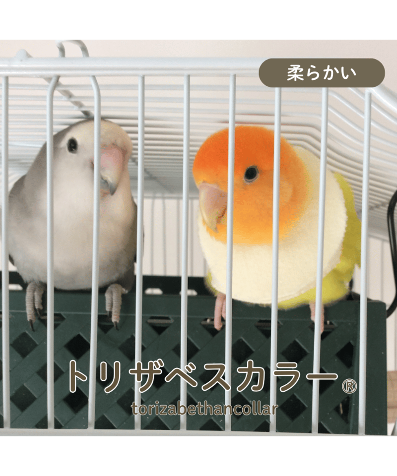🔰初心者練習【やわらかいトリザベスカラー】10枚入り 🔰初心者練習【やわらかいトリザベスカラー】10枚入り