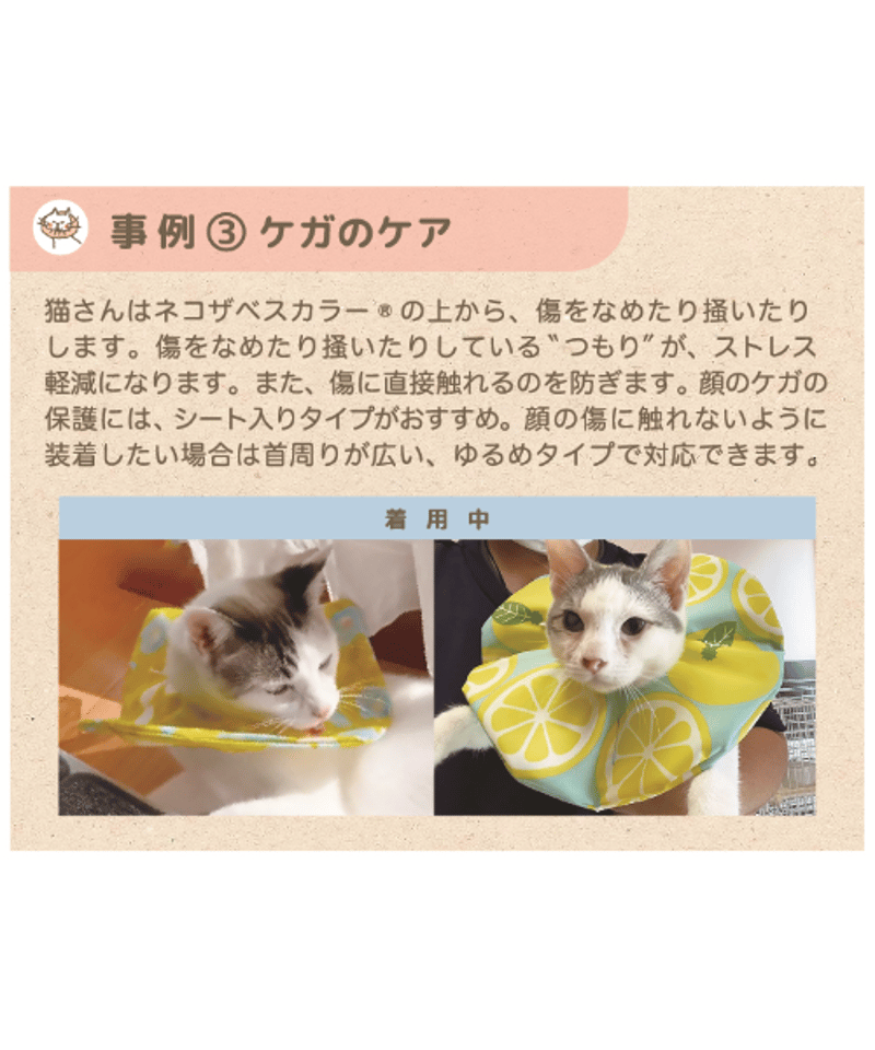 ネコザベスカラー】Lサイズ 標準 | コザクランラン 11/15～16鳥フェス神戸